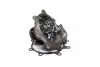 Насос водяний БОГДАН, ISUZU PARTS-MALL PHL-003 (фото 4)