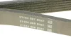 Ремінь полікліновий DAYCO 6PK1029EE (фото 4)