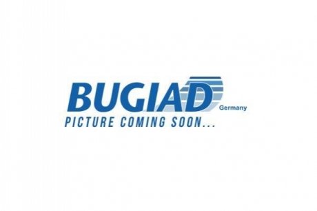 Підвіска BUGIAD BSP24688 (фото 1)