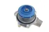 Водяной насос + комплект зубчатого ремня VKMC 01278-1 SKF VKMC01278-1 (фото 9)