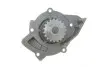 Комплект ГРМ + помпа Peugeot 406/607/807 2.2 HDi 00- (146x25.4) (538 0428 10) 530 0446 31 INA 530044631 (фото 3)