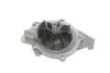 Комплект ГРМ + помпа Peugeot 406/607/807 2.2 HDi 00- (146x25.4) (538 0428 10) 530 0446 31 INA 530044631 (фото 4)