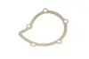 Комплект ГРМ + помпа Peugeot 406/607/807 2.2 HDi 00- (146x25.4) (538 0428 10) 530 0446 31 INA 530044631 (фото 5)