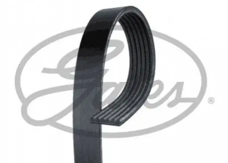 Ремень поликлиновый Gates 6PK808