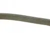 Ремень поликлиновый DY DAYCO 6PK1024EE (фото 2)