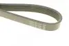 Ремень поликлиновый DY DAYCO 6PK1024EE (фото 3)