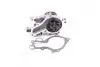 Водяний насос (Вир-во Magneti Marelli кор.код. WPQ1005) 352316171005 352316171005
