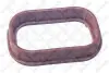 Прокладання. колектора впускного Ford Mondeo 2.0/2.4TDCi 00>к-кт STELLOX 1126007SX
