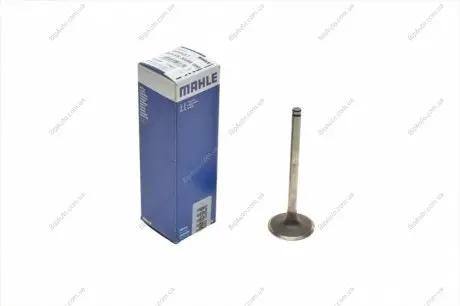 Клапан впускний KNECHT MAHLE / KNECHT 021VE30386 000