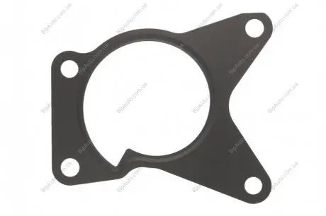 Прокладка помпи води Nissan Qashqai/X-Trail 2.0 07-14 579.590 ELRING 579590