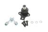 Опора кульова (передня/знизу) VW Caddy 95-04 (к-кт) SKF VKDS 311000 (фото 1)