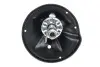 Амортизатор (задний) PARTS KAVO SSA-3013 (фото 3)
