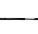 Амортизатор багажника Audi A4 04-08 (298/80mm 700N) JP GROUP 1181213700