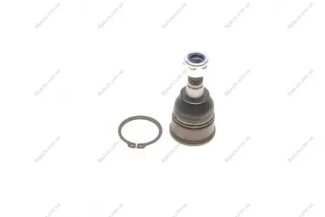 Опора кульова (передня/знизу) Honda CR-V II 01-07 SKF VKDS 813006