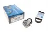 Комплект дорожных поясов DAYCO DAYKPV276