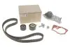 Комплект ГРМ (+ помпа) Renault Kangoo/Logan/Megane 1.6 (K4M) 01- RENAULT 119A00397R