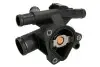 Термостат, охолоджуюча рідина THERMOTEC D2R010TT (фото 2)