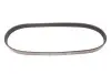 Ремінь генератора поліклиновий DAYCO 6PK798