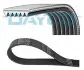 Пасок поліклиновий DY DAYCO 6PK852EE (фото 1)