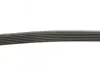 Ремень поликлиновый DY DAYCO 6PK2220K (фото 2)