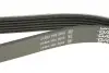 Ремень поликлиновый DY DAYCO 6PK2220K (фото 3)