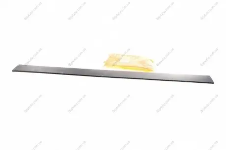 Молдинг двери AUTOTECHTEILE 100 6943