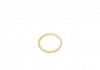 Уплотнительное кольцо REINZ 41-70166-00