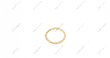 Уплотнительное кольцо VICTOR REINZ 41-70166-00 (фото 1)