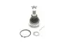 Наконечник рульовой тяги dolny Nissan Almera Tino, Maxima QX CA33, Primera P1 SKF VKDS812006 VKDS 812006