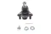 Наконечник рульовой тяги dolny CR-V SKF VKDS 813000 (фото 1)