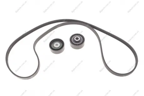 Комплект поліклиновий (ремінь+ролики) SKF VKMA 36067 (фото 1)