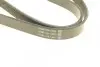 Ремень генератора DAYCO 6PK902S (фото 4)