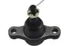 Несущий / направляющий шарнир KAVO PARTS SBJ3002