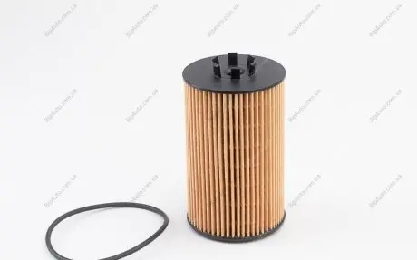 Фільтр масляний MB C-class (W204)/E-class (W211/W212) 6.2 M156 06-15 Purflux L1102