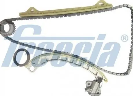 Комплект цепи ГРМ (6 предм.) FRECCIA TK081010