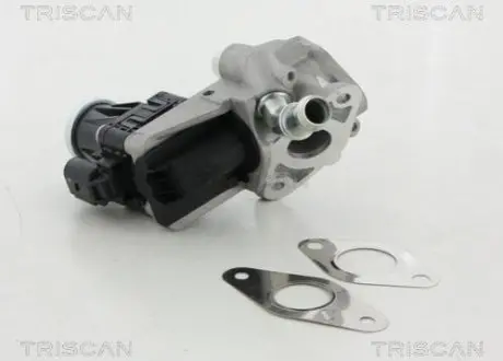 Клапан EGR TRISCAN 881316150