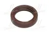 AUDI SEAT VWG 80 90 A4 A6 A8 V8 TT Alhambra Exeo Ibiza Inca Golf Passat Polo Santana LT Transporter Crafter SASIC 1956008 (фото 2)