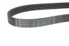 Клиновий ремінь CONTINENTAL Contitech 7PK1051ELAST (фото 3)