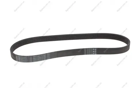 Поклиновий ремень CONTINENTAL Contitech 7PK1051ELAST