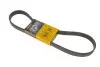 Клиновий ремінь CONTINENTAL Contitech 7PK1051ELAST (фото 5)