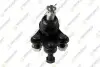 Шаровая опора передняя нижняя L/R, M14X2 TEKNOROT H125 (фото 1)