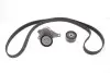 Роликовый модуль натяжителя ремня (ролик, ремень) SKF VKMA36132