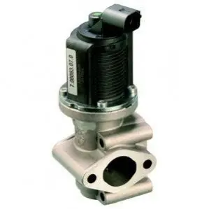 Клапан повернення ОГ Delphi EG10259-12B1