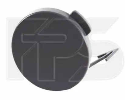 Заглушка пластикова FPS FP7411919