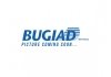 BUGIAD BGR13089 Клапан AGR Renault Megane III 1.5 dCi