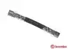 Тормозной шланг BREMBO T 06 033