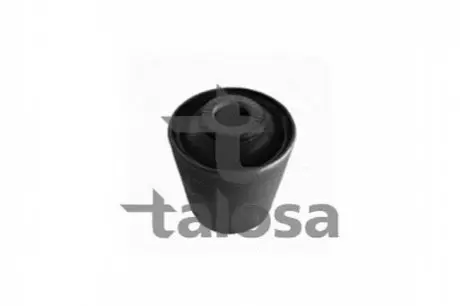 Підвіска TALOSA 57-01131 (фото 1)