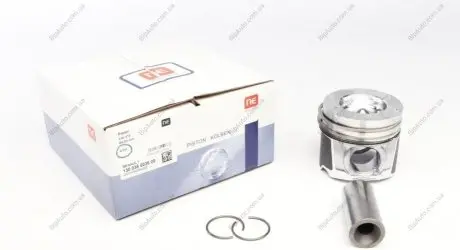 Поршень Nissan NPR 130 038 0036 00