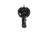 Амортизатор (передний) KAVO PARTS SSA-10220