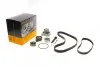 Комплект ГРМ + ТНВД + помпа Audi A6 2.5TDI 94-97 (26.4x122z/21.1x80z) CONTINENTAL CT939WP9PRO CT 939 WP9 PRO